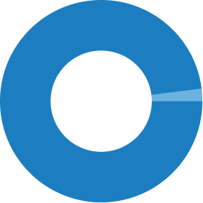 98% Pie